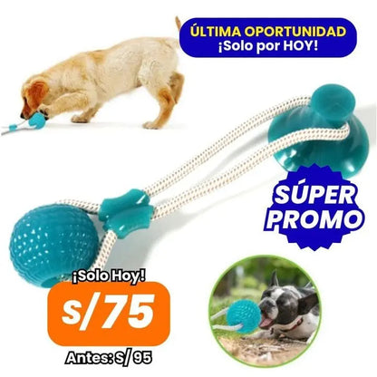 Diversión de Alta Gama para Tu Perro